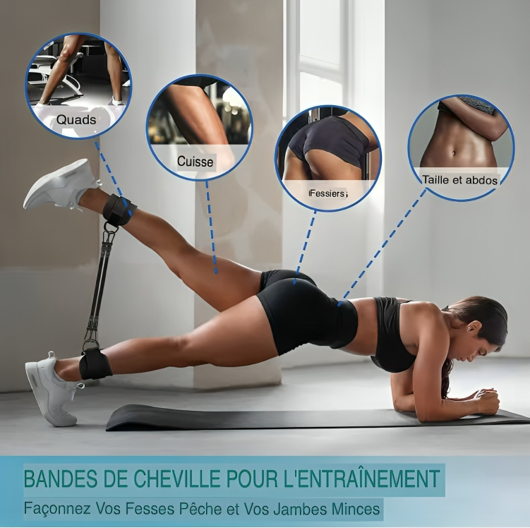 Appareil de Musculation Pour Les Jambes et Les Fesses